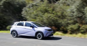 BYD Dolphin Standard Range – Snap test