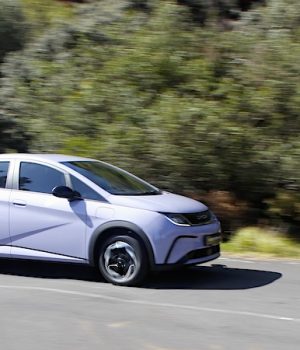 BYD Dolphin Standard Range – Snap test