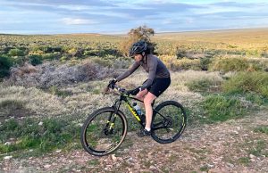 Motul Bike Frame Clean for bicycles – Review